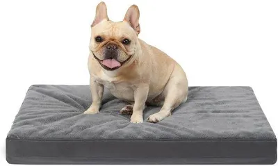 Produktbild von Orthopädisches Hundebett mittelgroß, waschbar, 90x57cm, dunkelgrau