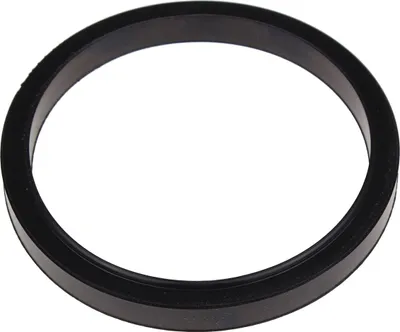 Produktbild von Ariston - Dichtungsflansch D:121.7-105-11.5 - 60000682