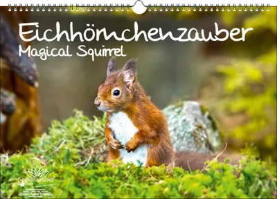 Produktbild von Eichhörnchenzauber DIN A3 Immerwährender Kalender Eichhörnchen - Seelenzauber