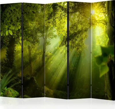 Produktbild von Akusticher Raumteiler Wald Foto Paravent 225x172 cm beidseitig auf Vlies-Leinwand bedruckt Akustikschaum Trennwand Spanische Wand Sichtschutz Home Office Bäume Natur Botanik Sonne c-B-0117-z-c