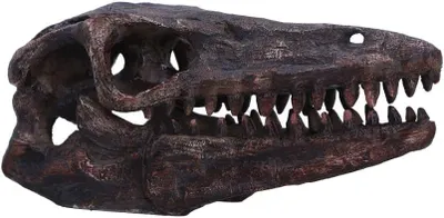 Productafbeelding van Dinoskeletbeeldje - Cadeaus en decoratie voor liefhebbers en verzamelaars van paleontologie - Handgeschilderd dinosaurusfossiel van hars - Archaeopteryx