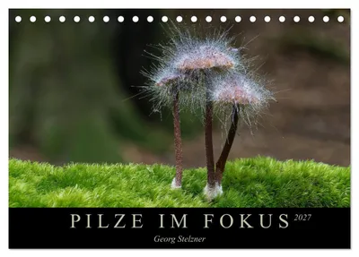Produktbild von PILZE IM FOKUS 2027 (Tischkalender 2027 DIN A5 quer), CALVENDO Monatskalender
