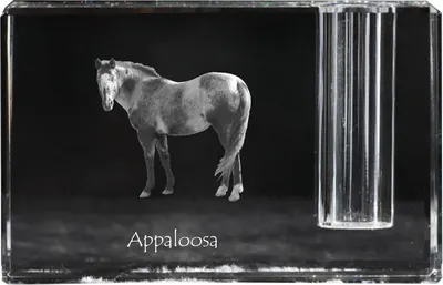 Imagen del producto de Art-Dog Soporte para bolígrafo – Appaloosa