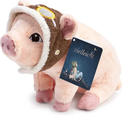 Produktbild von Vielleicht Plüschschwein