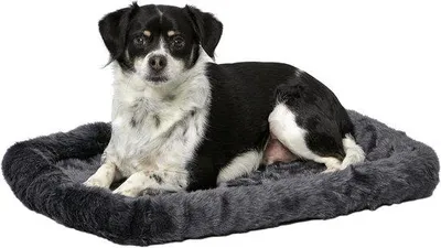 Immagine prodotto di Cuccia per cani con cuscino, grigia, lavabile in lavatrice, con struttura in metallo