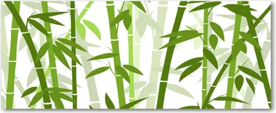 Produktbild von Tulup® Glas-Bild Wandbild aus Glas - 125x50 - Wandkunst - Wandbild hinter gehärtetem Sicherheitsglas - Dekorative Wand für Küche & Wohnzimmer  - Blumen & Pflanzen - Bambus - Grün