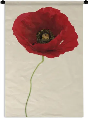 Produktbild von MuchoWow® Wandteppich Wandbehang Nahaufnahme einer roten Mohnblume 120x180 cm Tapisserie Dekoration Wandtuch - Schlafzimmer - Dekorationen für das Haus