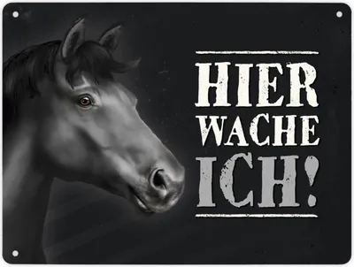 Produktbild von Hier wache ich! Metallschild XL mit Pferd Motiv Schild Blechschild