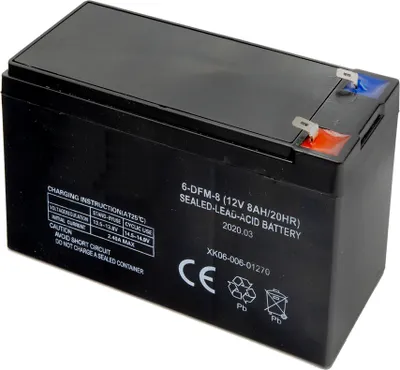 Immagine prodotto di Batteria per solfatatore Wolfpack (08052000)
