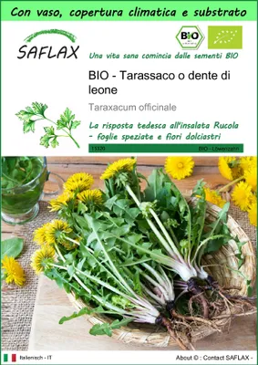 Immagine prodotto di SAFLAX Garden to go - BIO - Tarassaco o dente di leone - 400 semi - Taraxacum