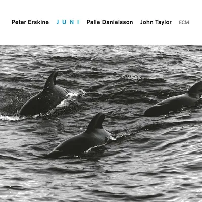 Obrázek produktu pro Peter Erskine: Juni (Touchstones) - - (CD / J)