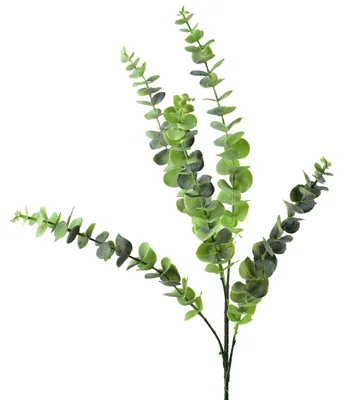 Produktbild von Kunstzweig kunststoff Viridis Eukalyptus 80cm grün 1pc