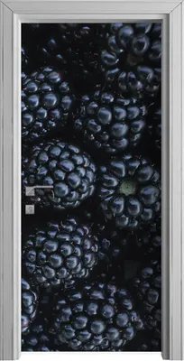 Produktbild von Tür Selbstklebende 90x210 cm Türfolie Türtapete Klebefolie - Brombeere Obst