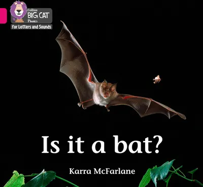 Produktbild von Is it a Bat?