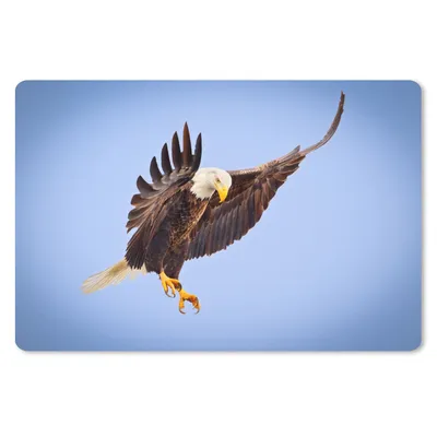 Produktbild von MuchoWow® Schreibtischunterlage Ein Weißkopfseeadler am blauen Himmel 60x40 cm - XXL Mauspad - Großes Mauspad