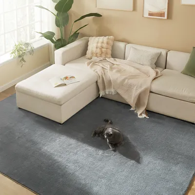 A living room scene with a sectional sofa, a rug, and a cat.
