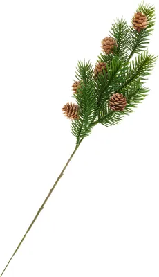 Produktbild von Tannen-Zweig mit Zapfen, 38 cm