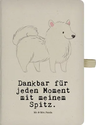 Produktbild von Mr. & Mrs. Panda Tagebuch Spitz Moment - Transparent - Geschenk, Kladde, Skizzenbuch, kariertes notizbuch, Journal