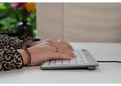 Image de BakkerElkhuizen UltraBoard 950 V2 DE Qwertz