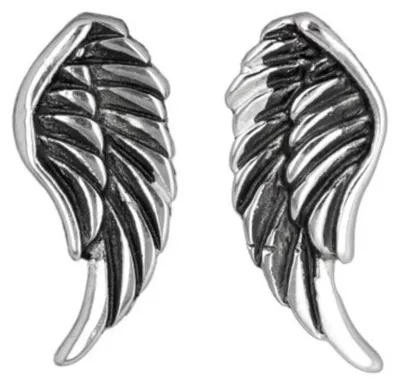 Produktbild von Ohrstecker Engelsflügel: Edelstahl Ohrringe