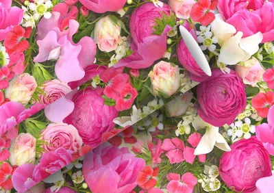 Produktbild von Braun & Company Geschenkpapier Kollektion Rosemarie 2 m x 70 cm