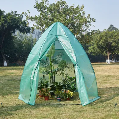 A green greenhouse with plants inside, set up in a grassy outdoor area with trees in the background.