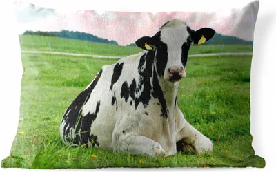 Produktbild von MuchoWow® Outdoor Kissen - Kuh - Gras - Tiere - Berg - 60x40 cm - Wetterfest - Lounge Kissen - Zierkissen - Kissen für Innenräume