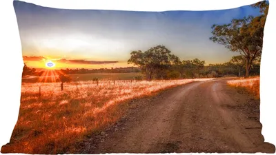 Produktbild von MuchoWow® Zierkissen Sofakissen Wohnzimmer Dekokissen 50x30 cm Sonne - Gras - Baum - Natur - Wohnzimmerdekoration - Polster mit Photo