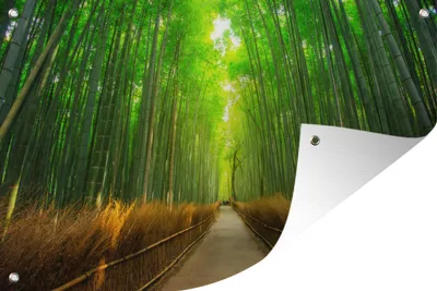 Produktbild von MuchoWow® 120x80 cm Outdoor-Poster Gartendeko Sichtschutz Garten Poster für den Garten  Weg durch den Wald
