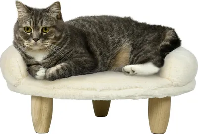 Produktbild von Gemütliches Haustiersofa Erhöhtes Design Hundecouch Katzensofa Holzbeine Flanell Creme 47X40X20Cm