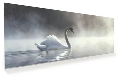 Produktbild von Glasbild 150x60cm in XXL für Wohnzimmer, Schlafzimmer Motiv Schwimmender Schwan