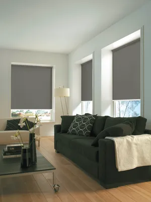 Produktbild von Gardinia Seitenzug-Rollo LICHTDURCHLÄSSIG 820 Uni grau 82 x 180 cm