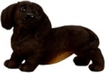 Ein dunkelbrauner Dackel. Detailliert gestaltet und zeigt ein lebensechtes Aussehen des Hundes. 