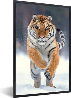 Produktbild von MuchoWow® Gerahmtes Poster Tiger - Landschaft - Schnee - Tiere 60x90 cm - Poster mit Schwarzem Bilderrahmen Wandposter Rahmen Foto Bilder - Kunst