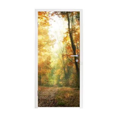 Obrázok produktu pre MuchoWow® Tapety na dvere - Samolepiaca fólia na dvere - Les - Jeseň - Slnko - Krajina - Príroda - Stromy - Listy - 215x95x0.1cm - Plagát na dvere - Samolepiaca