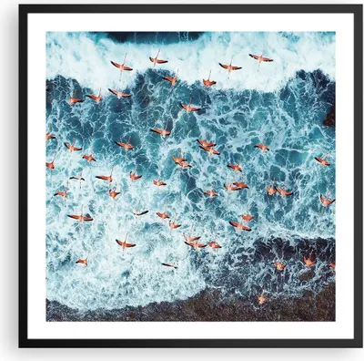 Produktbild von Gerahmtes Poster - Schwarzer Rahmen - Flamingos Karibik Vögel - 60x60 cm - Wand Bild - Wanddeko - Wandbilder - Kunstposter - Wandposter - Bilderrahmen - Bilder - Kunstdruck - P2BAC60x60-5013