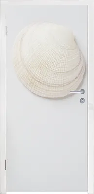 Obrázok produktu pre MuchoWow® Tapety na dvere - Samolepiaca fólia na dvere - Mušľa - biela - ružová - 215x80x0.1cm - Plagát na dvere - Samolepiaca fólia na dvere