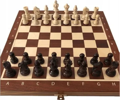 Produktbild von Feneeled Chess 35 cm Magiera