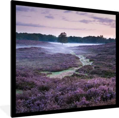 Produktbild von MuchoWow® Gerahmtes Poster Nebel im Heidekraut 40x40 cm - Poster mit Schwarzem Bilderrahmen Wandposter Rahmen Foto Bilder - Mit Rahmen - Wanddekoration Schlafzimmer