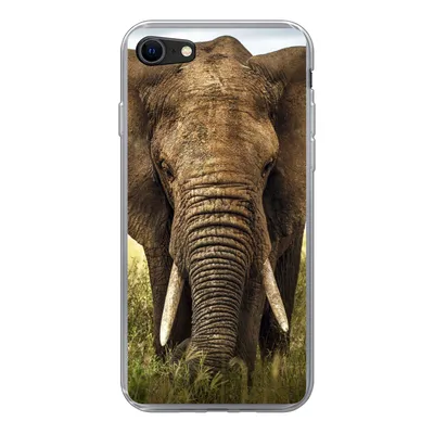 Produktbild von MuchoWow® Handyhülle Schutzhülle Hülle für iPhone 7 Elefant - Gras - Tiere - Natur Silikon Softcase Handy Hülle - Kartenhalter