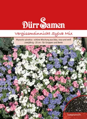 Produktbild von Dürr-Samen - Vergissmeinnicht Sylva Mix gelb mit Auge zweijährig 20 cm - Saatgut - 1435