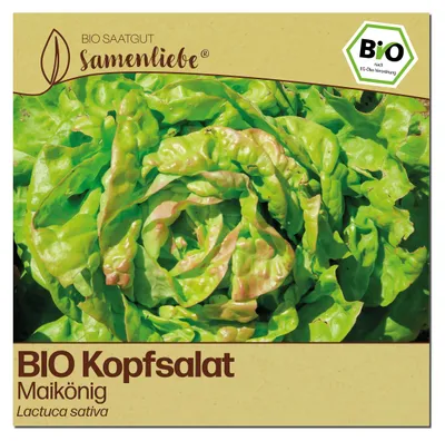 Produktbild von Samenliebe  Salat Samen | Maikönig - winterhart & frühe Sorte - samenfestes  Saatgut