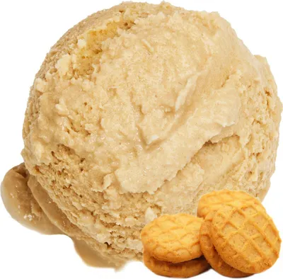A scoop of ice cream with two cookies.