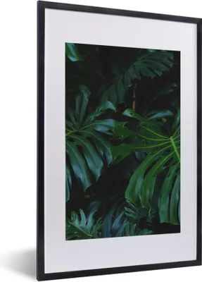 Produktbild von MuchoWow® Gerahmtes Poster Dschungel - Grün - Blätter 40x60 cm - Poster mit Schwarzem Bilderrahmen Wandposter Rahmen Foto Bilder - Poster in Rahmen
