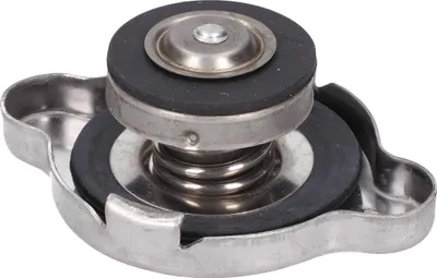 Image de Bouchon de radiateur pour Rieju RR, MRX, RRX, SMX 50, Yamaha DT 50 R, MBK X-Limit 50