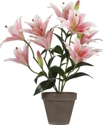 Produktbild von Mica Decorations Tigerlilien Kunstpflanze im Blumentopf Stan - H47 x Ø45 cm - Rosa
