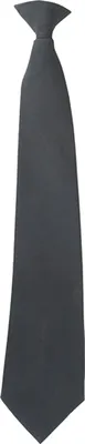 Immagine prodotto di Viper - Cravatta con clip TD146 (taglia unica) (nero)