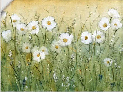 Produktbild von ARTland Wandbild, selbstklebend Gänseblümchenfrühling II Größe: 60x45 cm