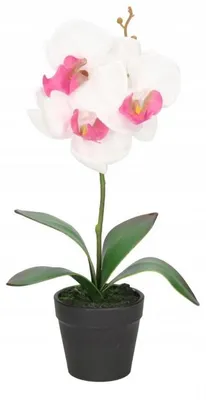 Imagen del producto de Orquídea Artificial En Maceta
