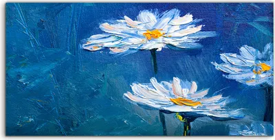 Produktbild von Coloray Spritzschutz aus Glas 120x60  Wandkunst Küchenrückwand Foto Bild Natur Blumen Margeriten